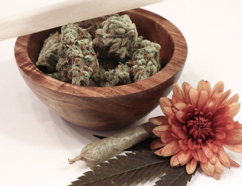 The benefits of cannabis for anxiety and PTSD